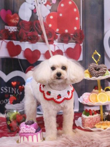 20250211リコちゃん